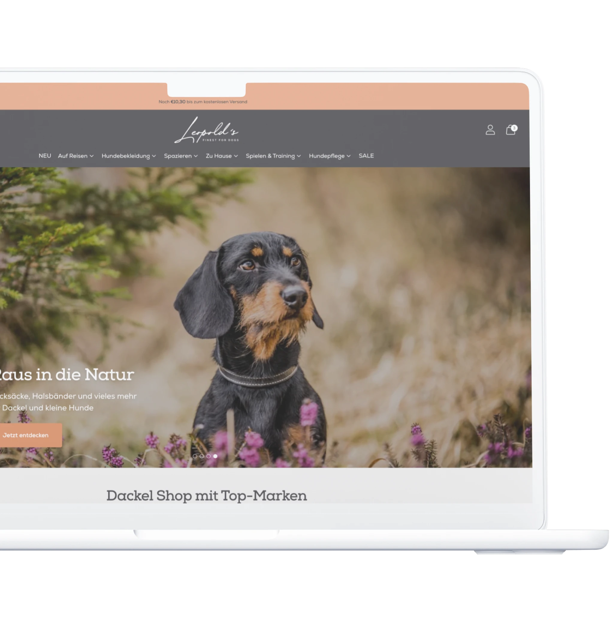 Leopolds Finest for Dogs Webdesign Mockup Desktop